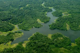 CMA ANALISA USO DE ARRECADAÇÃO DO PETRÓLEO PARA PROTEÇÃO DA AMAZÔNIA
