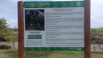CAMINHADA ECOLÓGICA VAI INAUGURAR TRILHA ENCANTAMENTO DAS AVES EM BUSCA VIDA, NESTE SÁBADO, DIA 21 DE SETEMBRO