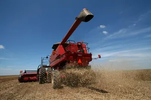 PIB DO AGRO | NO 2º TRIMESTRE DE 2024, AGRONEGÓCIO REPRESENTOU 28,4% DE TODA A ECONOMIA BAIANA