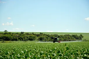 SAFRA BAIANA DE GRÃOS CRESCEU (+12,2%) ENTRE 2022 E 2023, DIZ IBGE