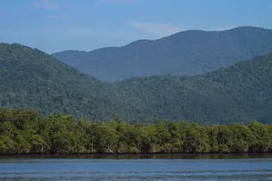 MEIO AMBIENTE: BAHIA INTEGRA MEGAOPERAÇÃO CONTRA O DESMATAMENTO NA MATA ATLÂNTICA