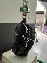 LEILÃO DE PEDRA PRECIOSA DE 227 KG ENCONTRADA NO INTERIOR DO ESTADO É REMARCADO