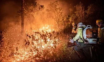 MONITORAMENTO MOSTRA QUE 99% DOS INCÊNDIOS SÃO POR AÇÃO HUMANA