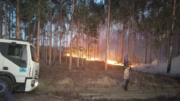 FOCOS DE QUEIMADAS AUMENTAM 140% NA BAHIA EM CINCO ANOS
