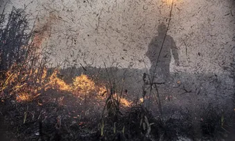 FOCOS DE INCÊNDIOS NO BRASIL JÁ SÃO 76% MAIORES QUE EM 2023