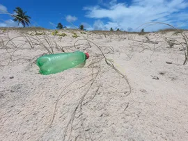 BAHIA OCUPA O QUINTO LUGAR ENTRE OS LOCAIS COM MENOR DENSIDADE DE MICROPLÁSTICO NO BRASIL