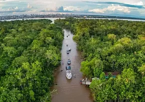 COMEÇA NESTA SEGUNDA A 16ª COP DA BIODIVERSIDADE NA COLÔMBIA