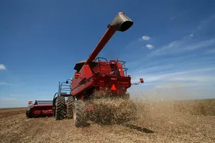 BAHIA DOMINA O AGRONEGÓCIO NORDESTINO, COM 8 CIDADES ENTRE AS 100 MAIS RICAS DO AGRO NO BRASIL