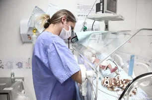 INVESTIMENTO EM HOSPITAL UNIVERSITÁRIO PASSA A SER CONSIDERADO GASTO EM SAÚDE