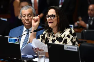 CMA DEBATERÁ CAMPANHA JULHO DOURADO, DE PROTEÇÃO A ANIMAIS DOMÉSTICOS