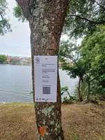 CONDER APOIA CRIAÇÃO DO PARQUE BOTÂNICO DIQUE DO TORORÓ