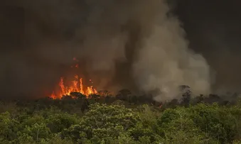 BRASIL TEM 22,38 MILHÕES DE HECTARES ATINGIDOS PELO FOGO EM NOVE MESES