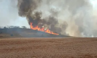 BRASILEIROS ACHAM QUE ECONOMIA PODE SER DEVASTADA POR EVENTOS DO CLIMA