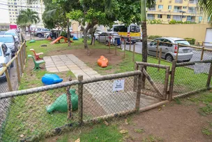 SALVADOR AMPLIA ESPAÇOS DE LAZER EXCLUSIVOS PARA PETS EM PRAÇAS DA CIDADE