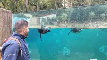 ZOOLÓGICO DE SALVADOR PODE GANHAR O PRIMEIRO AQUÁRIO IMERSIVO DA BAHIA