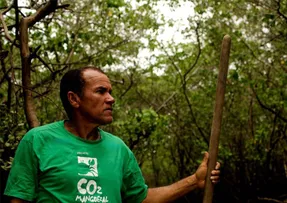 PROJETO AMBIENTAL VAI RESTAURAR MANGUEZAL NA BAÍA DE TODOS-OS-SANTOS