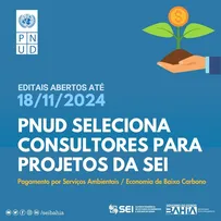 ABERTAS INSCRIÇÕES PARA SELEÇÃO DE NOVOS CONSULTORES SEI/PNUD PARA PROJETOS DE PSA E ECONOMIA DE BAIXO CARBONO