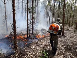 BRACELL E GOVERNO CAPACITAM 50 VOLUNTÁRIOS PARA COMBATE A INCÊNDIOS FLORESTAIS NA CHAPADA DIAMANTINA