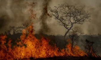 DESASTRES CLIMÁTICOS AUMENTARAM 250% NOS ÚLTIMOS QUATRO ANOS NO PAÍS