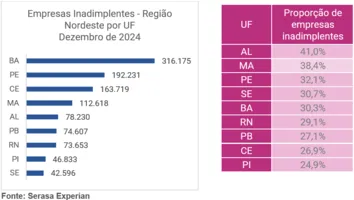 REGIÃO NORDESTE FECHA 2024 COM MAIS DE 1,1 MILHÃO DE EMPRESAS INADIPLENTES, REVELA PESQUISA