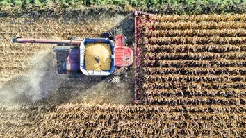 AGRONEGÓCIO REPRESENTOU 23,5% DO PIB DA BAHIA ATÉ O TERCEIRO TRIMESTRE DE 2024