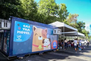 TUTORA ACUSA CASTRAMÓVEL DE NEGLIGÊNCIA VETERINÁRIA APÓS PERDA PREMATURA DE SEU PET; ENTENDA O CASO
