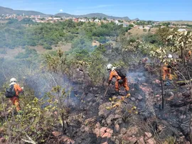 INVESTIMENTOS BOMBEIROS MILITARES EXTINGUIRAM INCÊNDIOS FLORESTAIS EM PINDOBAÇU, CAMPO FORMOSO E PORTO SEGURO