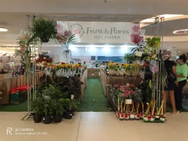 FEIRA DE FLORES DE HOLAMBRA ESTÁ EM HOME CENTER NOS BARRIS