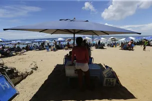 BARRAQUEIROS CONTABILIZAM PREJUÍZOS COM LIMITAÇÃO DE SOMBREIROS
