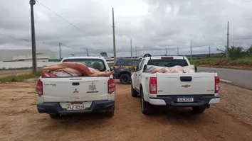 TRABALHO CONJUNTO RESULTA NA APREENSÃO DE 1,3 TONELADA DE CARNE DE ABATE CLANDESTINO