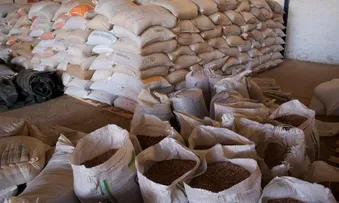 GOVERNO INICIA COMPRA PARA O PROGRAMA DE AQUISIÇÃO DE ALIMENTOS