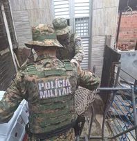 ANIMAL SILVESTRE É RESGATADO PELA PM EM MUSSURUNGA