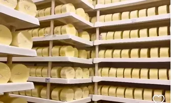 LATICÍNIO EM IPIRÁ QUER AUMENTAR PRODUÇÃO DE QUEIJOS E SUBPRODUTOS