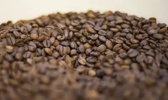 CAFÉ DEVE FICAR CERCA DE 25% MAIS CARO NOS PRÓXIMOS MESES, ALERTA ABIC