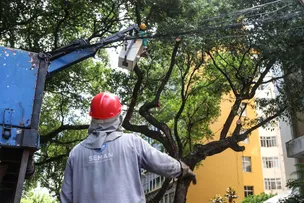 SERVIÇO DE PODA DE ÁRVORES MINIMIZA RISCOS DE ACIDENTES EM SALVADOR
