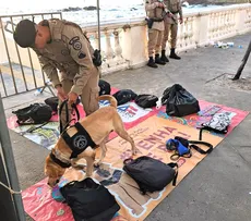 CÃES DA PM FAREJAM DROGAS E ARMAS NOS PORTAIS DO CARNAVAL DE SALVADOR