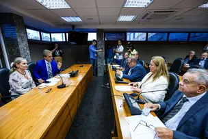NOVA PRESIDENTE DA ALBA QUER FORTALECIMENTO DE COMISSÕES TEMÁTICAS PARA AGILIDADE NA VOTAÇÃO DE PROJETOS