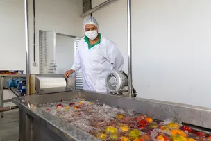 MULHERES RURAIS DO VALE DO JIQUIRIÇÁ CONQUISTAM AUTONOMIA E AMPLIAM PRODUÇÃO DE POLPAS DE FRUTAS COM AGROINDÚSTRIA FAMILIAR