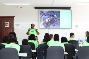 PROJETO DE EDUCAÇÃO AMBIENTAL FARÁ PLANTIO DE 600 MUDAS DE MANGUE EM MADRE DE DEUS
