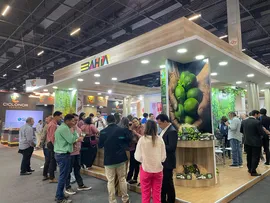 PRODUTORES DE FRUTAS PARTICIPAM DA MAIOR FEIRA DO SETOR DA AMÉRICA LATINA