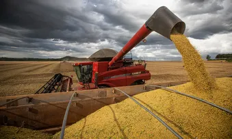 APÓS PRIMEIRAS COLHEITAS, CONAB CONFIRMA ESTIMATIVA DE SAFRA RECORDE