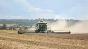 COLHEITA DA SOJA SE APROXIMA DO FIM COM AUMENTO CONSIDERÁVEL DA PRODUTIVIDADE NA BAHIA