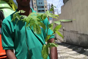 DISQUE MATA ATLÂNTICA VISA AMPLIAR ARBORIZAÇÃO EM SALVADOR