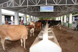 EXPOAGRI 2025 INVESTE EM NOVOS ESPAÇOS PARA GARANTIR BEM-ESTAR ANIMAL E CAPACITAR PRODUTORES