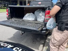POLÍCIA CIVIL DEFLAGRA SEGUNDA FASE DA OPERAÇÃO FALSO CONSÓRCIO E IDENTIFICA 20 ENVOLVIDOS EM ORGANIZAÇÃO CRIMINOSA