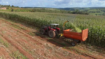 ALAGOINHAS É UMA DAS MELHORES CIDADES DO BRASIL PARA INVESTIMENTOS EM AGROPECUÁRIA