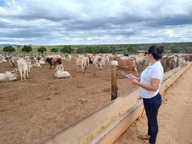 TÉCNICOS DA ADAB VISITAM PROPRIEDADES E ORIENTAM PRODUTORES COMO ATUAR NA ZONA LIVRE SEM VACINAÇÃO PARA FEBRE AFTOSA