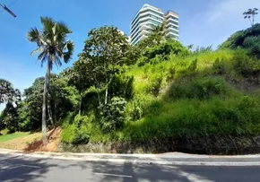 JUSTIÇA FEDERAL SUSPENDE LEILÃO DA ÁREA VERDE NO MORRO IPIRANGA
