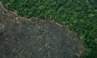 PROJETO “IMPLODE” LICENCIAMENTO AMBIENTAL NO BRASIL, DIZ ESPECIALISTA