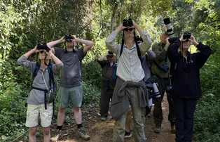 POTENCIAL DA BAHIA PARA O TURISMO DE OBSERVAÇÃO DE AVES ATRAI OPERADORES DE VIAGENS INTERNACIONAIS